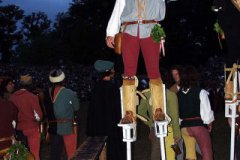 Oa Stelzer