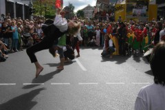 2008_roding104.jpg