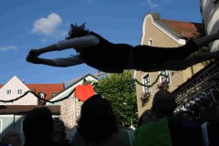 2008_roding136.jpg
